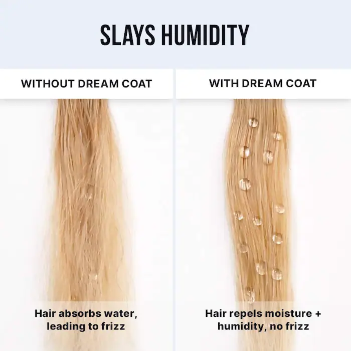 DREAM COAT ICONIC FRIZZ FIGHTERS HAIR DUO GIFT SET