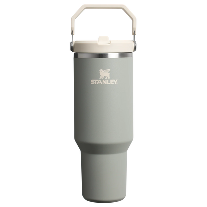 STANLEY | The IceFlow™ Flip Straw Tumbler